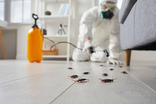Affordable Cockroach Control solutions in Culloden, WV