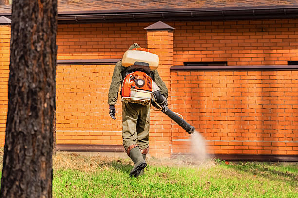 Top rated local Cockroach Control specialists in Culloden, WV